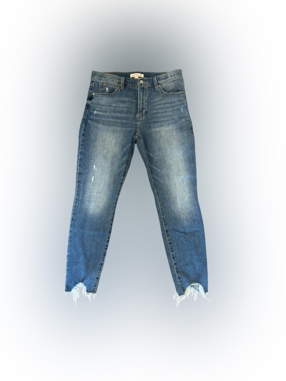Lucky Brand Women’s 10 Bridgette High Rise Skinny Jean